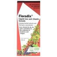 SALUS (UK), Floradix Liquid Iron Formula 250ml