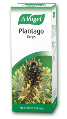 A Vogel Plantago lanceolata 50ml